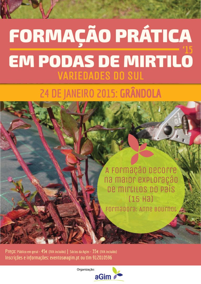 Agim promove formação prática em podas de mirtilos em Grândola