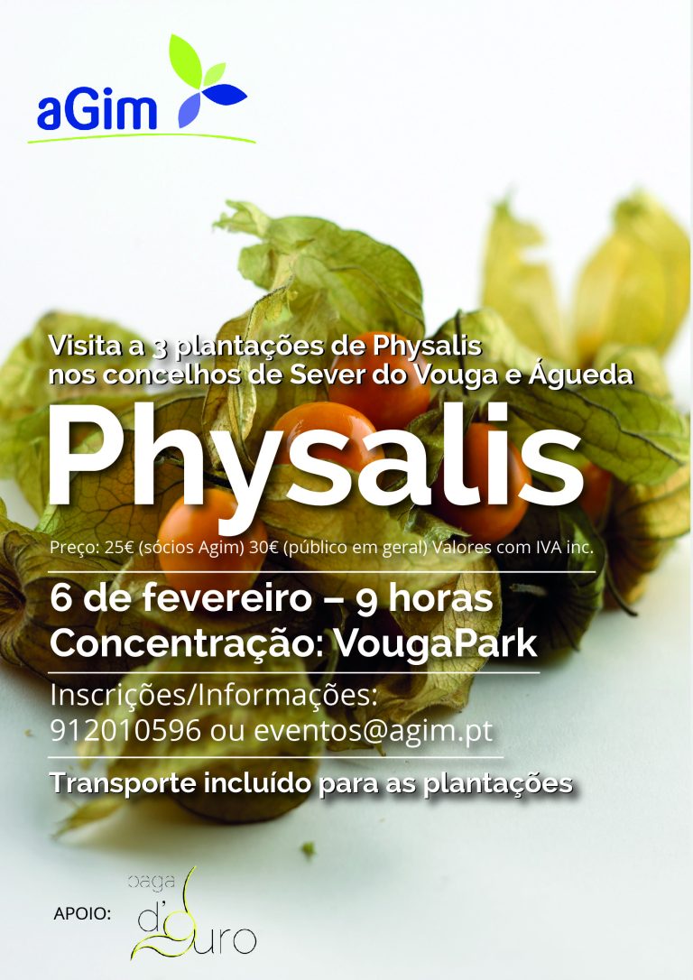 Visita de estudo a plantações de physalis