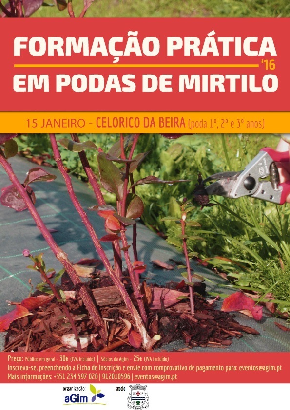 Formação prática em podas de mirtilo em Celorico da Beira