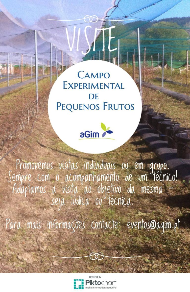 Visitas ao Campo Experimental de Pequenos Frutos