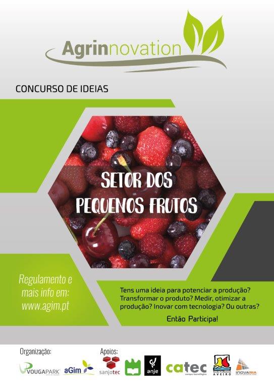 Concurso de ideias para a fileira dos pequenos frutos