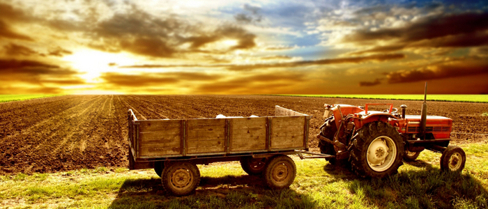 Pequenos Investimentos na Exploração Agrícola – candidaturas abertas