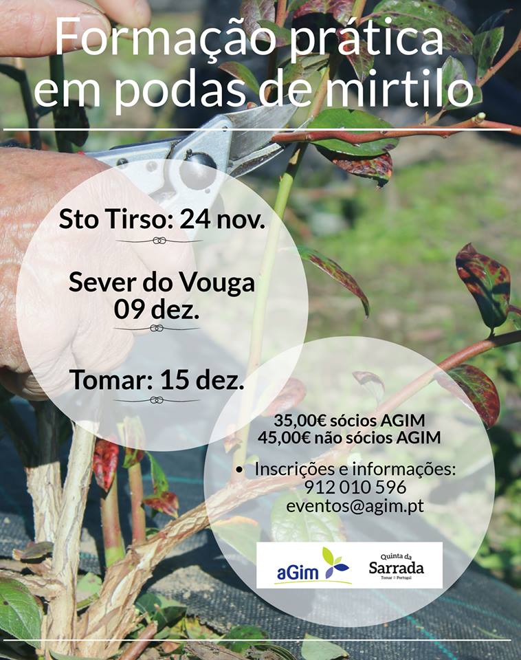 Formação prática de podas de mirtilos em Santo Tirso, Sever do Vouga e Tomar