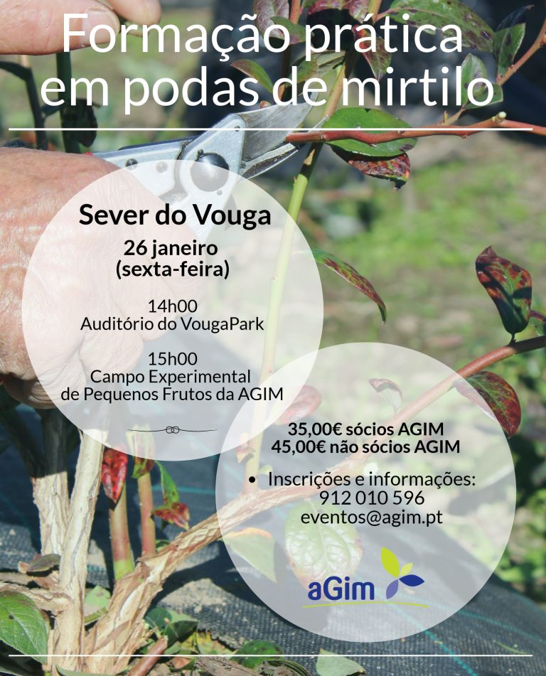 Formação prática de podas de mirtilos em Sever do Vouga