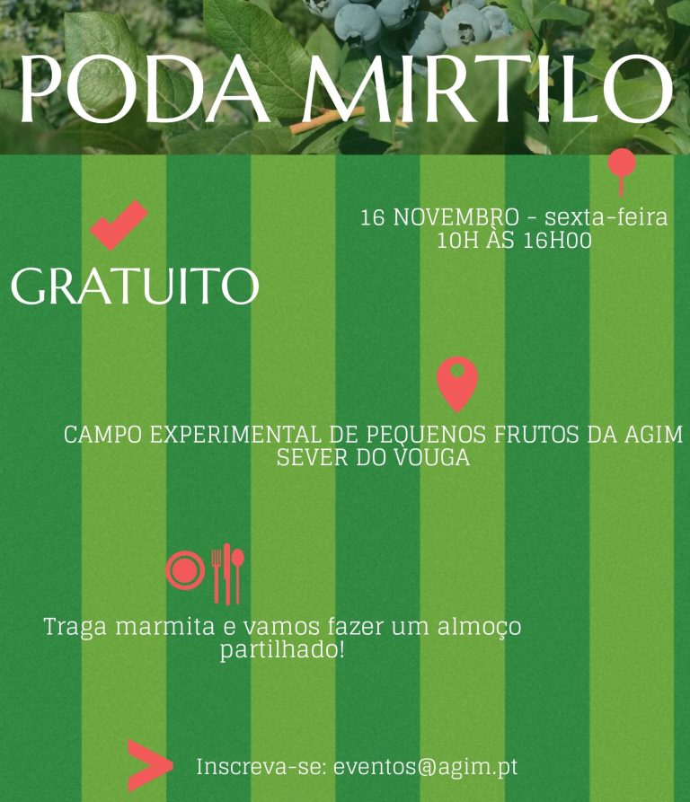 Formação/convívio em podas de mirtilo