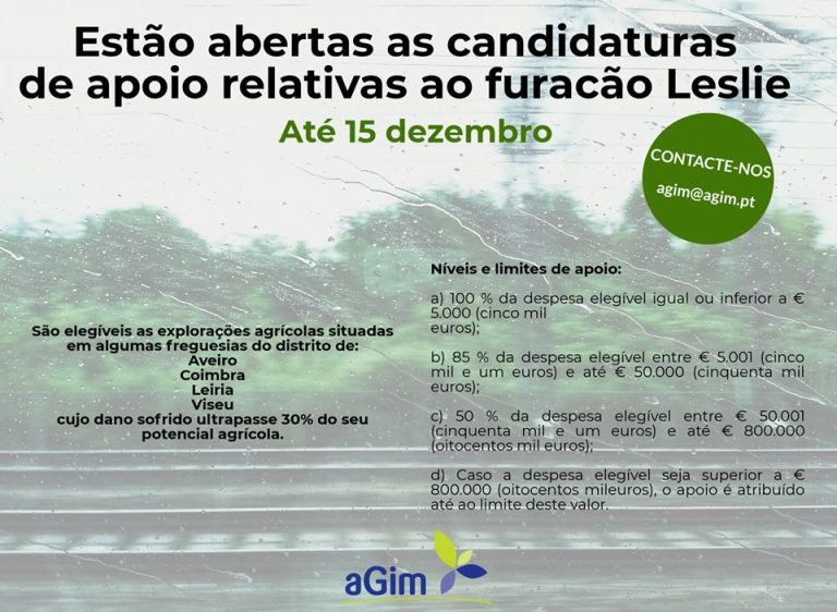 Abertas candidaturas de apoio relativas ao furacão Leslie