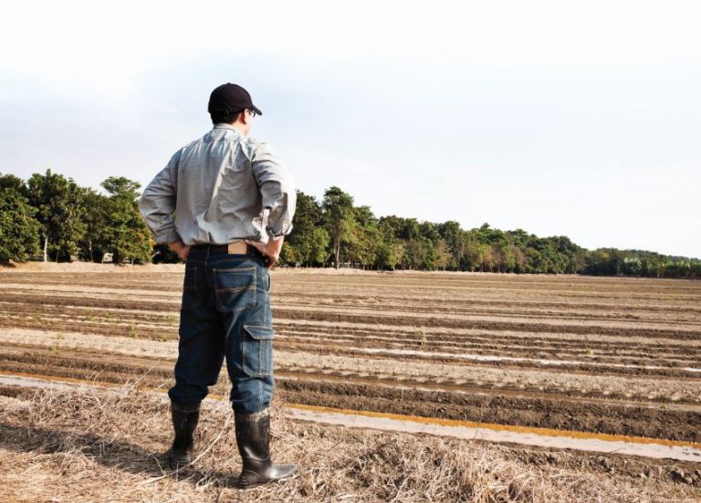 Candidaturas abertas para jovens agricultores nos territórios de baixa densidade