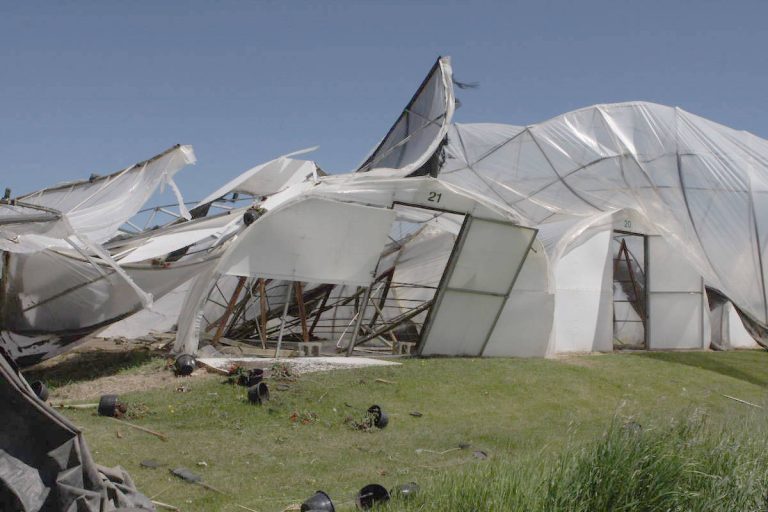 Tempestades Elsa e Fabien: apoios aos agricultores abertos de 30 de janeiro a 28 de fevereiro